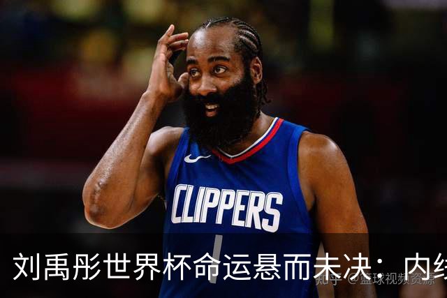 刘禹彤世界杯命运悬而未决：内线竞争白热化，功能互补成关键