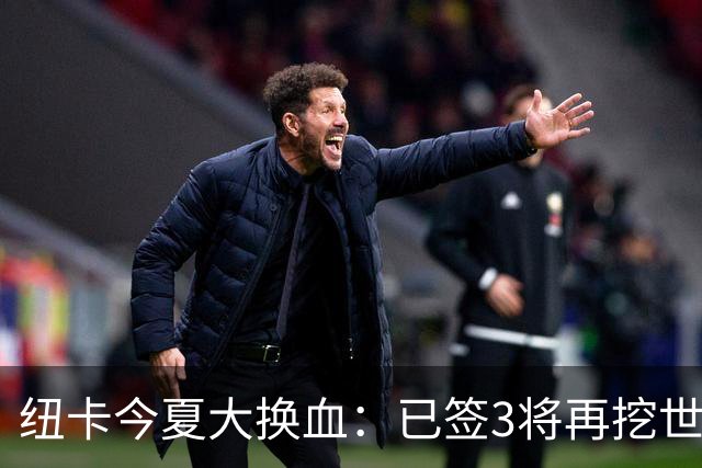 纽卡今夏大换血：已签3将再挖世界杯国脚，托纳利替身浮现
