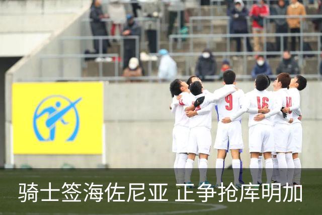 骑士签海佐尼亚 正争抢库明加